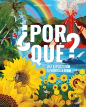 ¿Por Que?