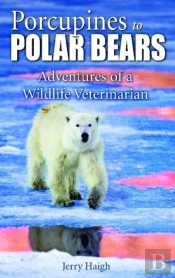 Porcupines To Polar Bears