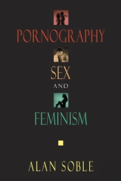 Pornography, Sex And Feminism