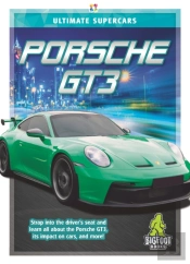 Porsche Gt3