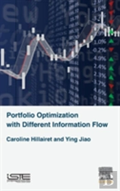 Portfolio Optimization With Different Information Flow