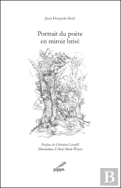 Portrait Du Poète En Miroir Brisé