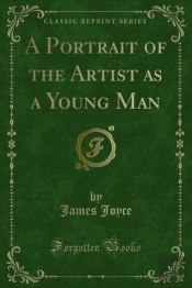Portrait Of The Artist As A Young Man