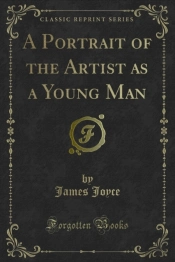 Portrait Of The Artist As A Young Man