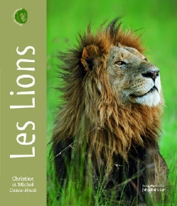 Bertrand.pt - Portraits D'Animaux ; Les Lions