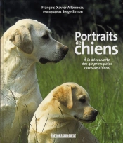 Portraits De Chiens