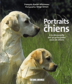 Bertrand.pt - Portraits De Chiens