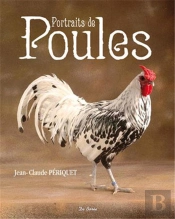 Portraits De Poules