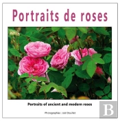 Portraits De Roses