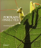 Portraits D'Insectes De La Mediterranee