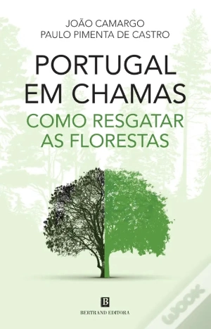 Portugal em Chamas - Como Resgatar as Florestas