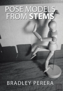 Bertrand.pt - Pose Models From Stems