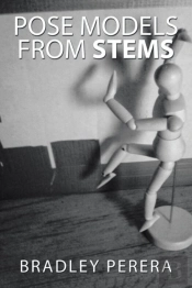 Pose Models From Stems