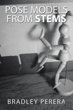 Bertrand.pt - Pose Models From Stems