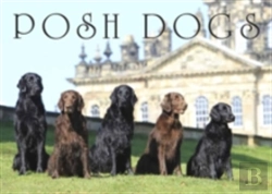 Bertrand.pt - Posh Dogs