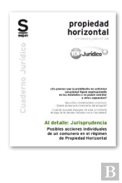 Posibles Acciones Individuales De Un Comunero En El Régimen De Propiedad Horizontal
