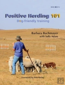 Bertrand.pt - Positive Herding 101