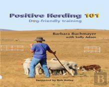 Positive Herding 101