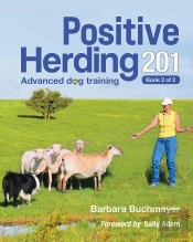 Positive Herding 201