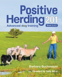 Bertrand.pt - Positive Herding 201