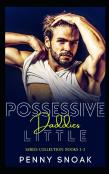 Possessive Daddies Little Series Collection