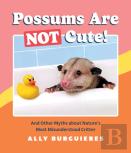 Possums Are Not Cute