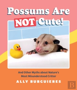 Bertrand.pt - Possums Are Not Cute