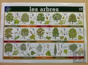 Poster 36. Les Arbres