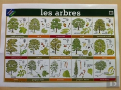 Bertrand.pt - Poster 36. Les Arbres