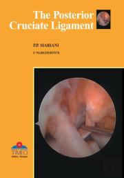 Posterior Cruciate Ligament