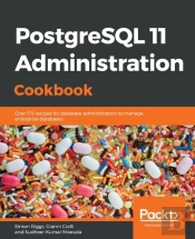 Postgresql 11 Administration Cookbook