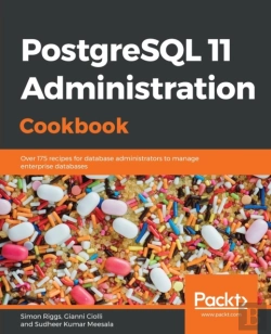 Bertrand.pt - Postgresql 11 Administration Cookbook