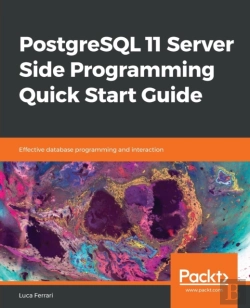 Bertrand.pt - Postgresql 11 Server Side Programming Quick Start Guide