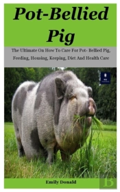 Pot-Bellied Pig