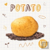 Potato