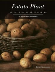 Potato Plant