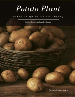 Bertrand.pt - Potato Plant