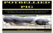 Potbellied Pig
