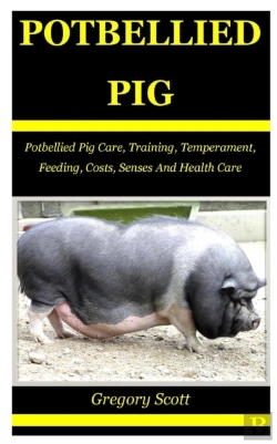 Bertrand.pt - Potbellied Pig