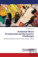 Potential Micro Entrepreneurial Borrowers