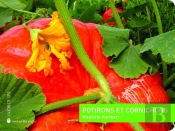 Potirons Et Cornichons