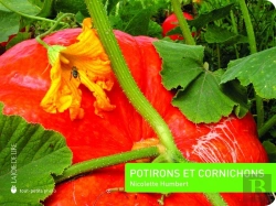 Bertrand.pt - Potirons Et Cornichons