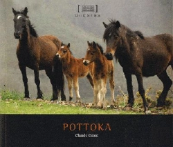 Bertrand.pt - Pottokak