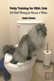 Potty Training For Real Cats
