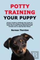 Potty Training Your Puppy