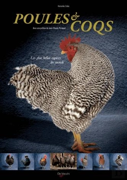 Bertrand.pt - Poules Et Coqs