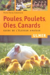 Poules Poulets Oies Canards