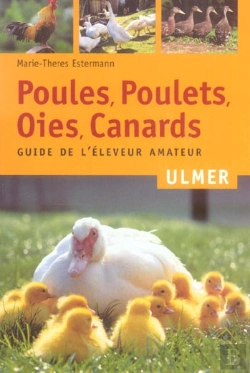 Bertrand.pt - Poules Poulets Oies Canards