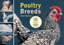 Bertrand.pt - Poultry Breeds