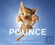 Pounce